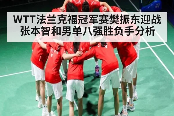 WTT法兰克福冠军赛樊振东迎战张本智和男单八强胜负手分析